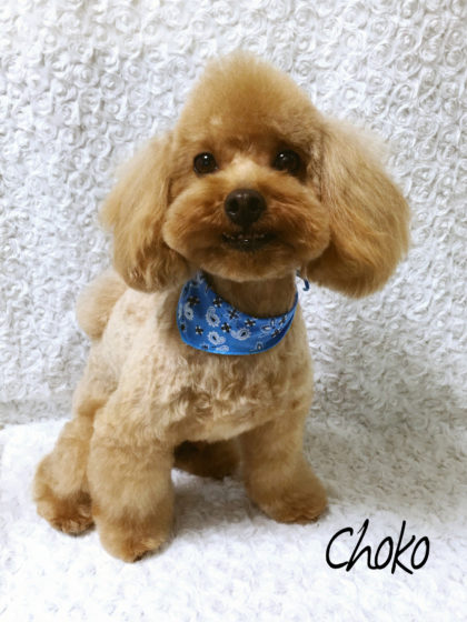 Processed with MOLDIV