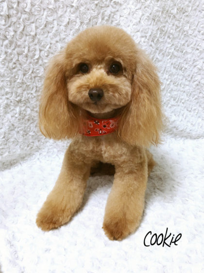 Processed with MOLDIV