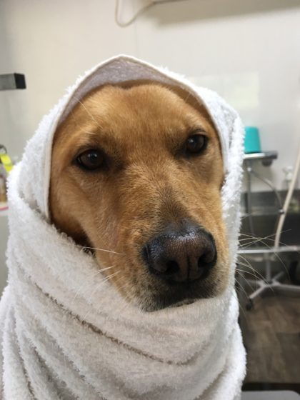 Processed with MOLDIV