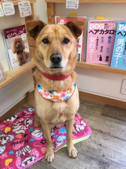 Processed with MOLDIV