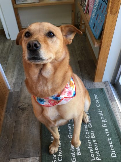 Processed with MOLDIV