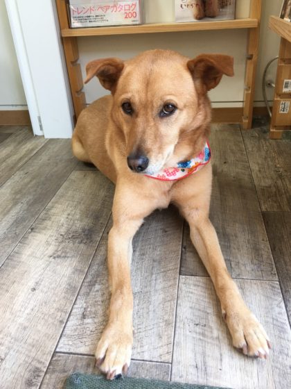 Processed with MOLDIV