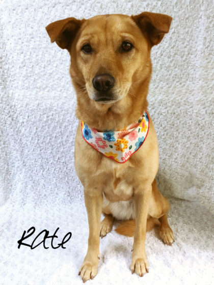 Processed with MOLDIV