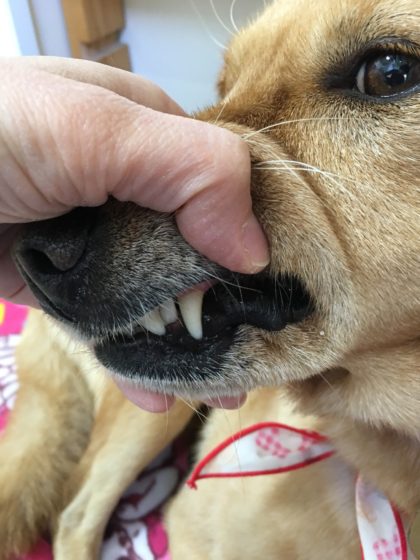 Processed with MOLDIV