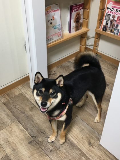 Processed with MOLDIV