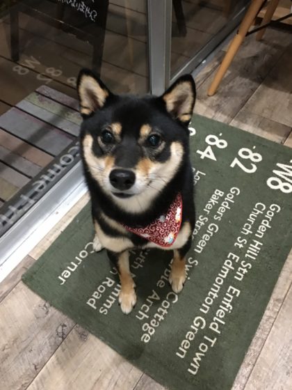 Processed with MOLDIV