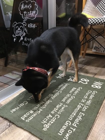 Processed with MOLDIV