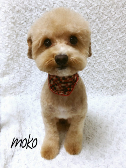 Processed with MOLDIV