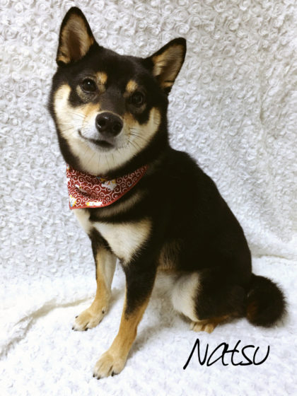 Processed with MOLDIV