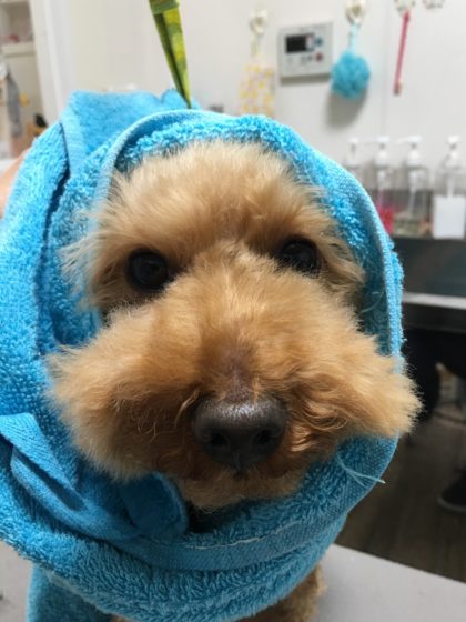 Processed with MOLDIV