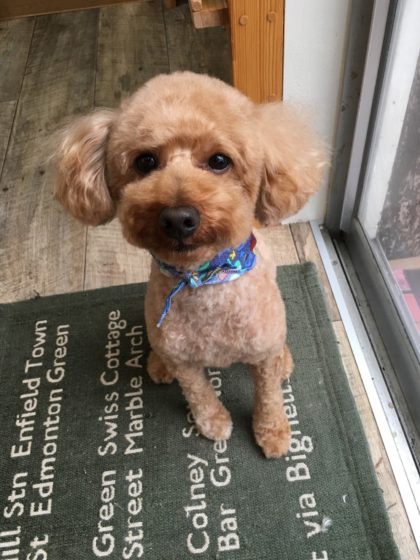 Processed with MOLDIV