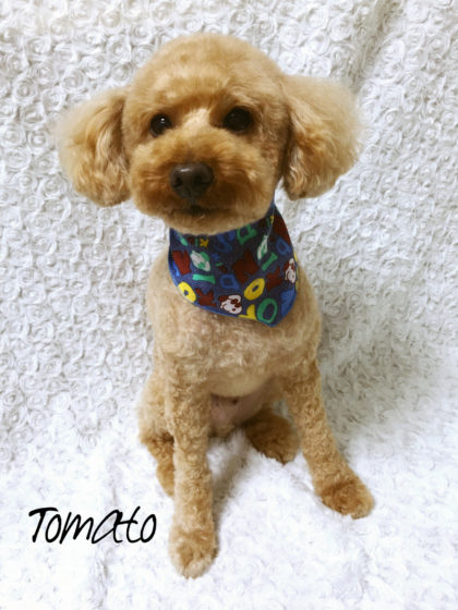 Processed with MOLDIV