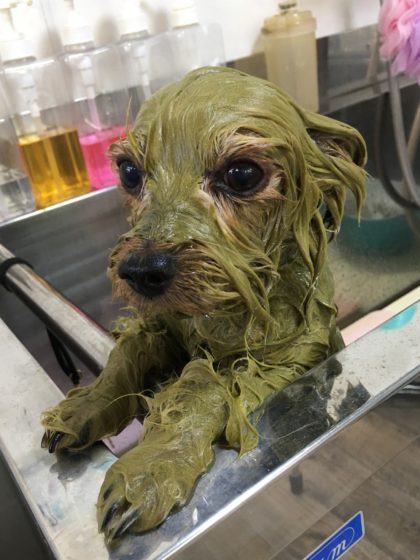 Processed with MOLDIV