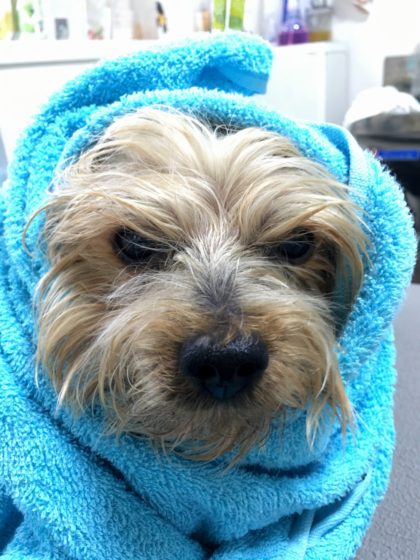 Processed with MOLDIV