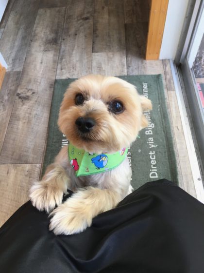 Processed with MOLDIV