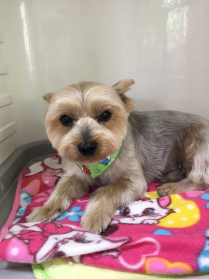 Processed with MOLDIV