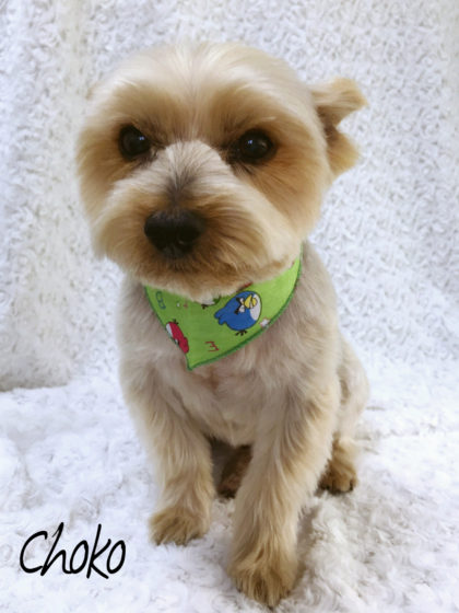 Processed with MOLDIV