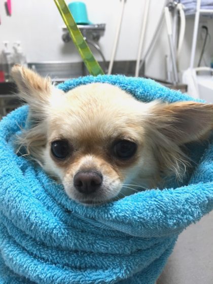 Processed with MOLDIV