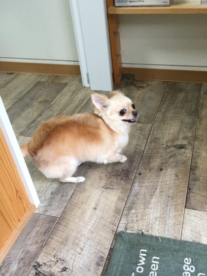 Processed with MOLDIV