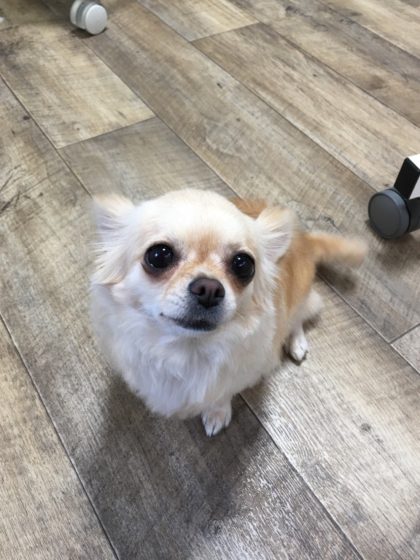 Processed with MOLDIV