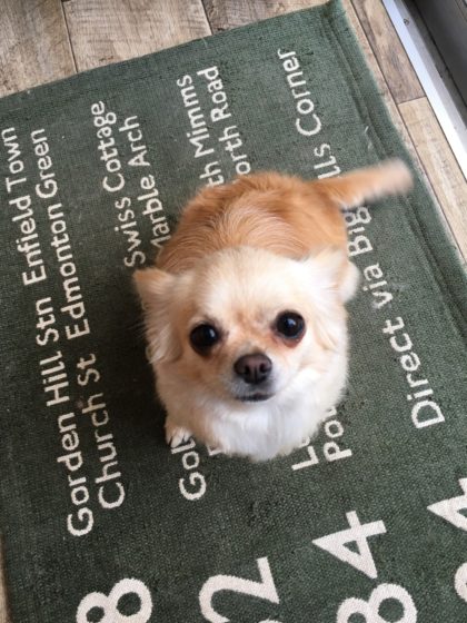 Processed with MOLDIV