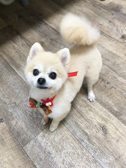 Processed with MOLDIV