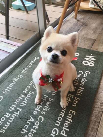 Processed with MOLDIV