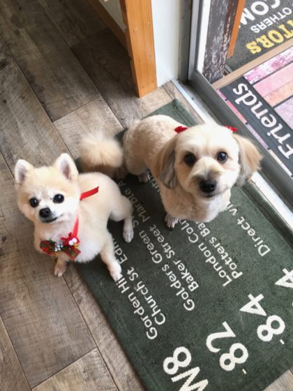 Processed with MOLDIV