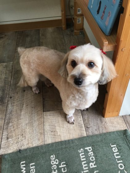 Processed with MOLDIV