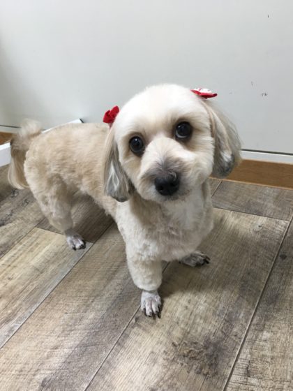 Processed with MOLDIV