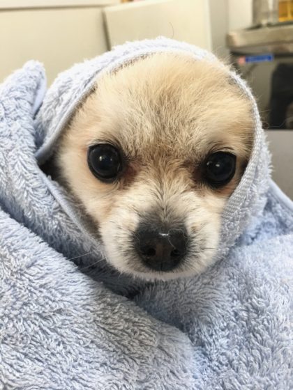 Processed with MOLDIV