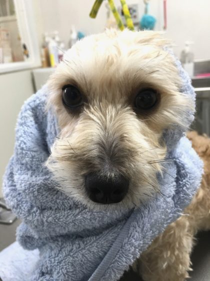 Processed with MOLDIV