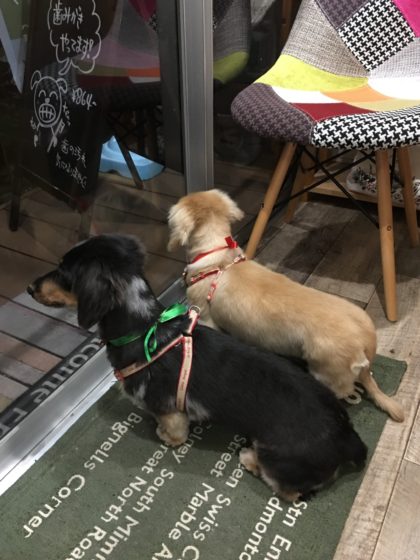 Processed with MOLDIV