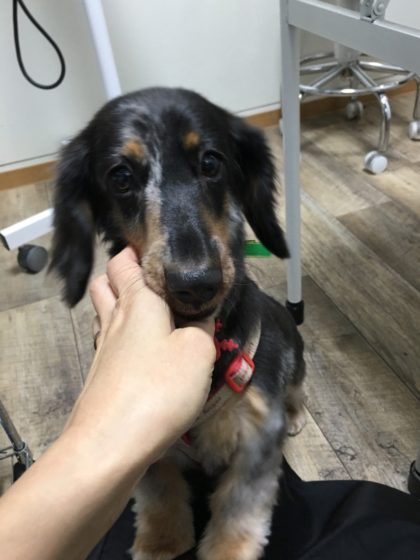 Processed with MOLDIV