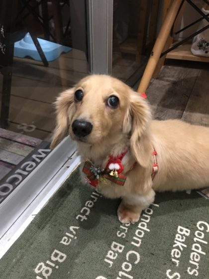 Processed with MOLDIV