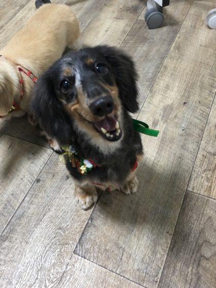 Processed with MOLDIV