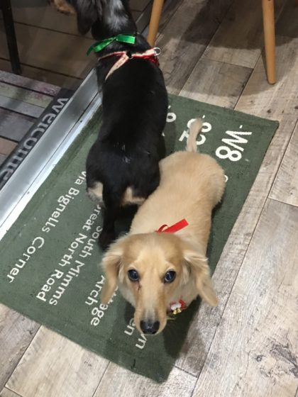 Processed with MOLDIV