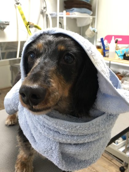 Processed with MOLDIV