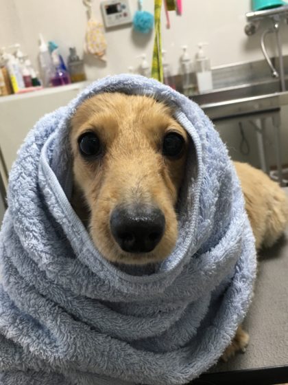 Processed with MOLDIV