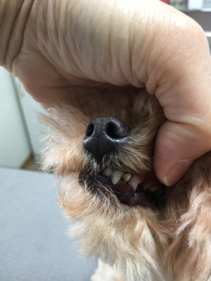 Processed with MOLDIV