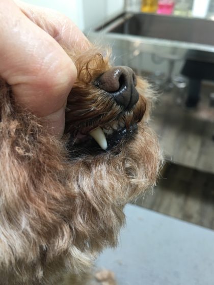 Processed with MOLDIV