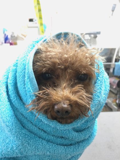 Processed with MOLDIV