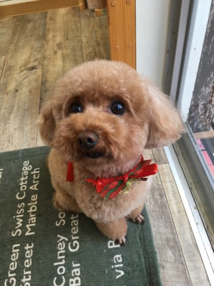 Processed with MOLDIV