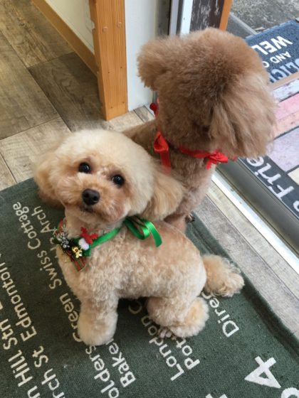 Processed with MOLDIV