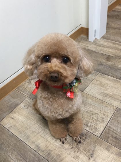 Processed with MOLDIV