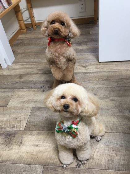 Processed with MOLDIV