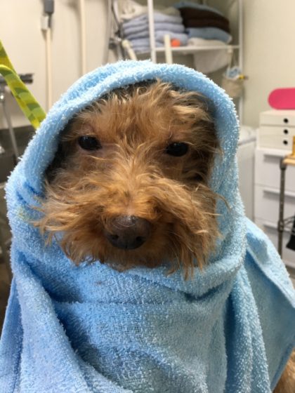 Processed with MOLDIV