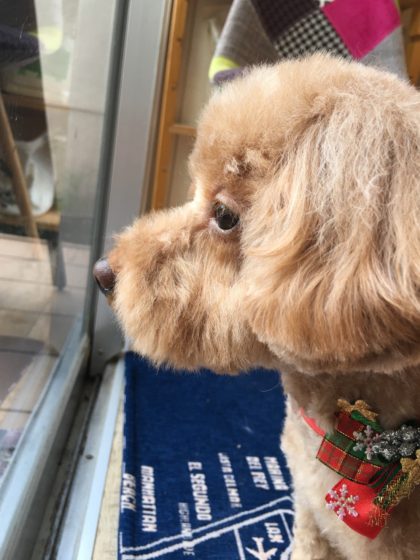 Processed with MOLDIV