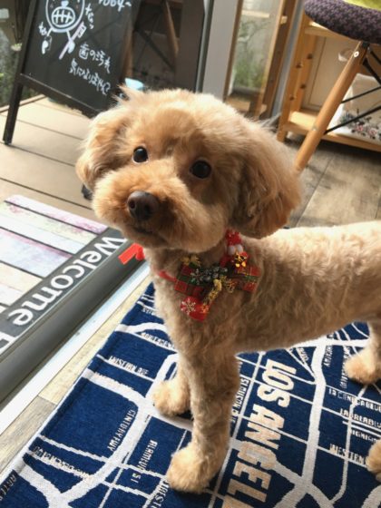 Processed with MOLDIV