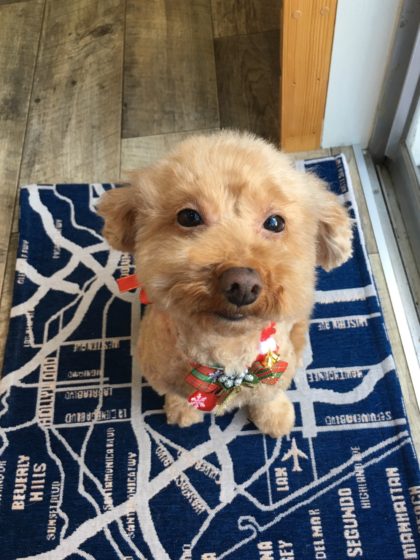 Processed with MOLDIV